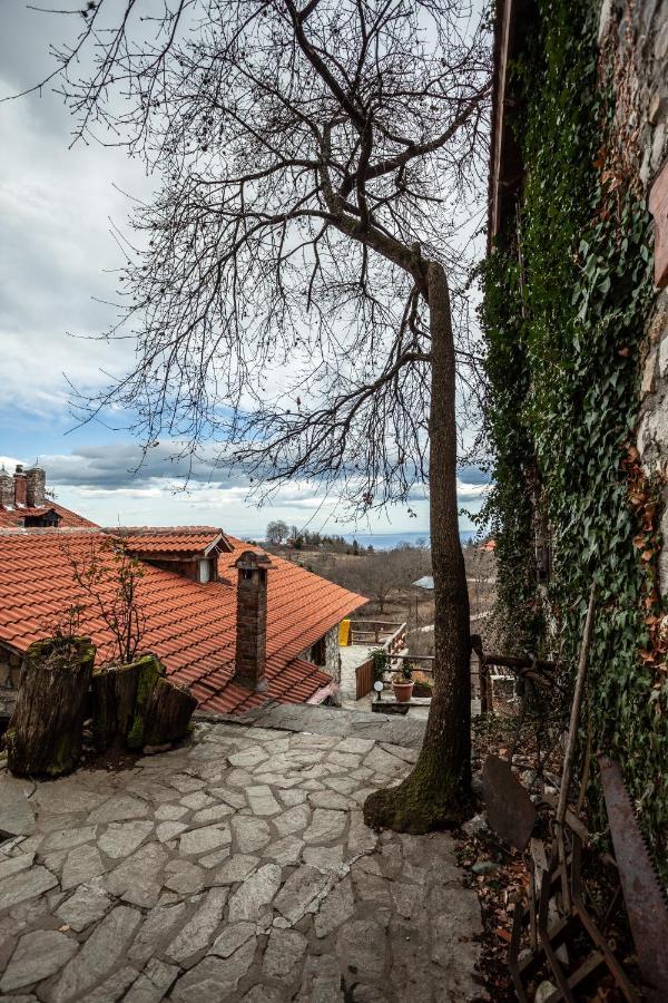 Arxontiko Agonari Otel Metamorfosi  Dış mekan fotoğraf