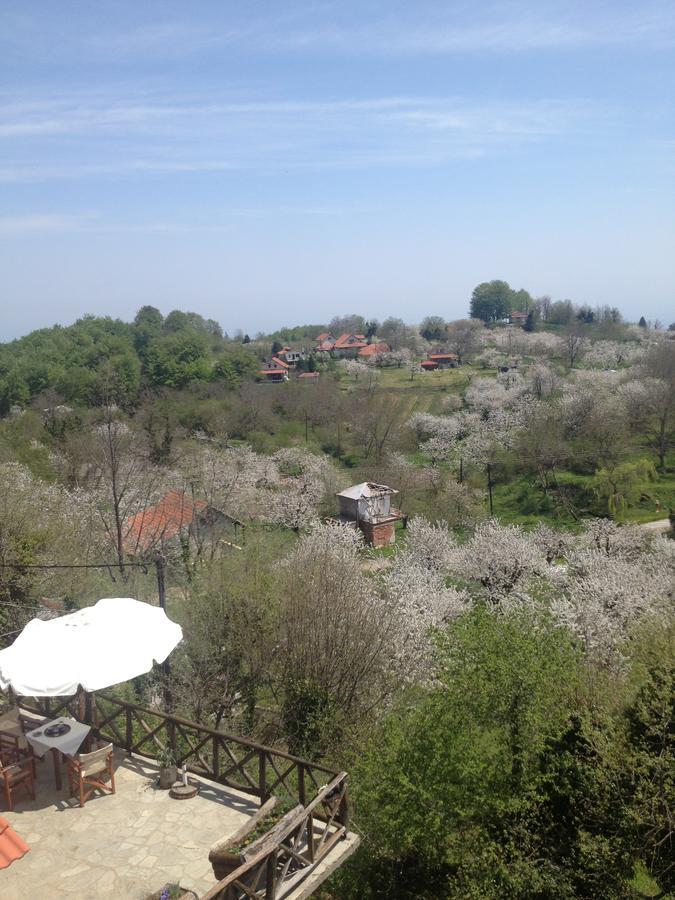 Arxontiko Agonari Otel Metamorfosi  Dış mekan fotoğraf